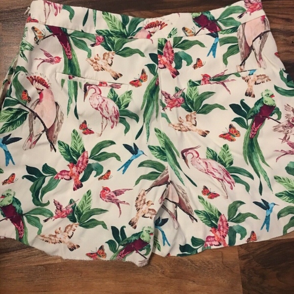 Ann Taylor Bird Printed Shorts Size 8 - Picture 6 of 7